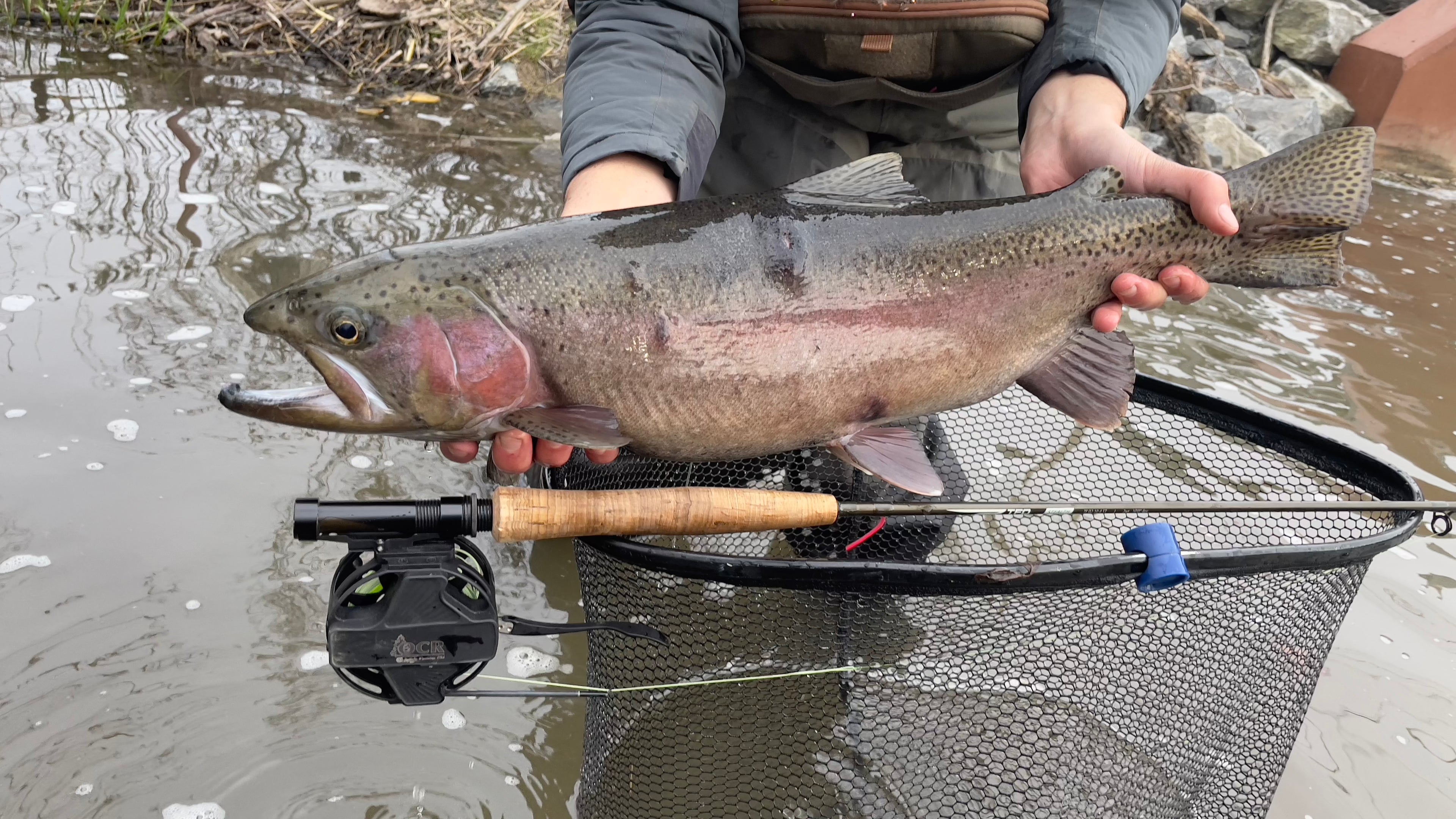 Lewis (Larry) Hirsch, owner of Larry’s Lodge in northern Georgia, holds a beast of a rainbow he landed on a Pennsylvania Blue Ribbon stream!