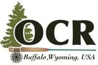 OCR logo
