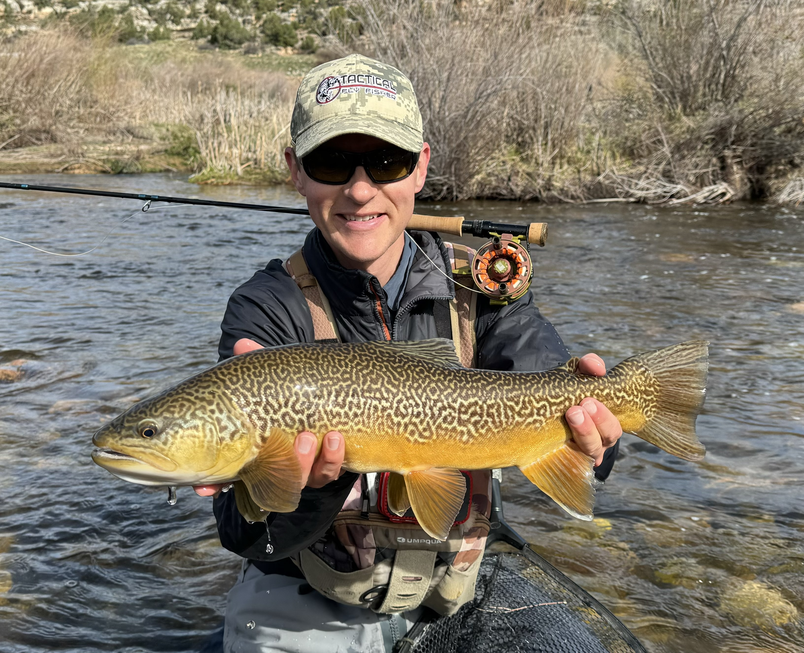 Devin Olsen, owner of Tactical Fly Fisher and a member of Fly Fishing Team USA, holds a tiger trout he caught using the OCR bighorn reel!